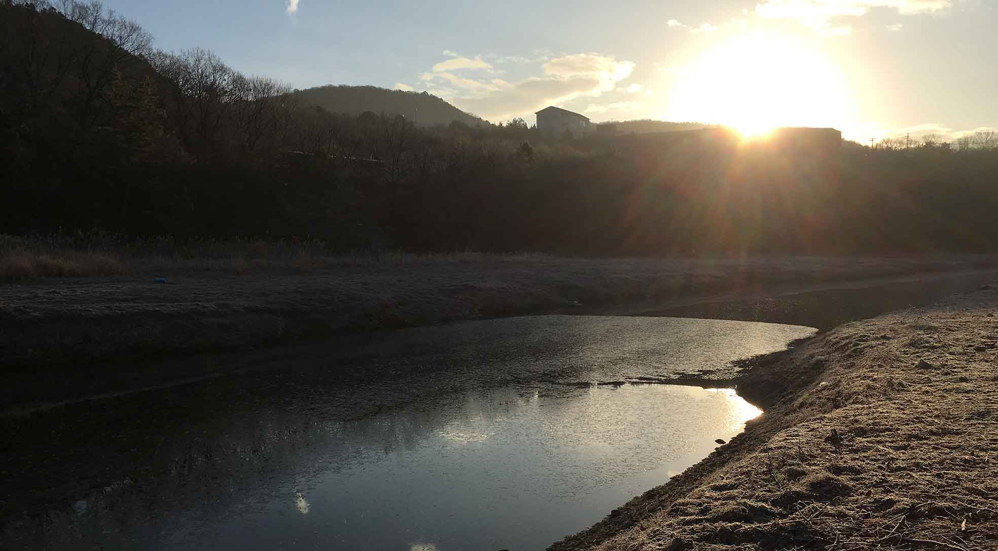 2019年ちいさな森からの初日の出 Image